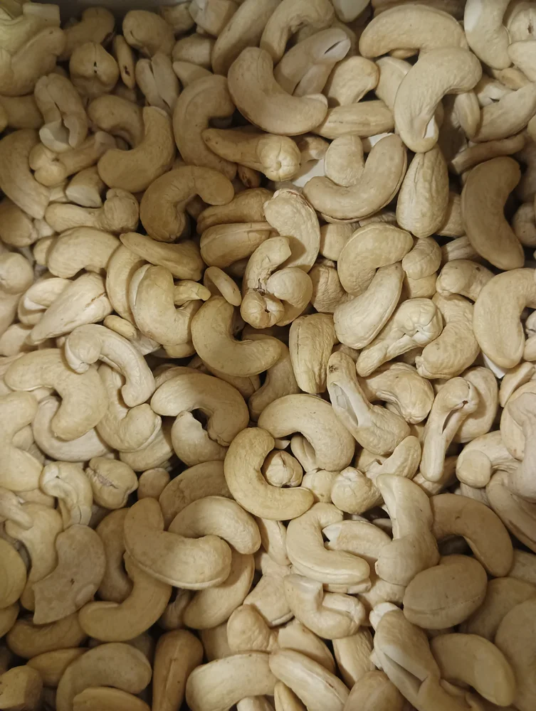 Representative photograph of cashew kernels