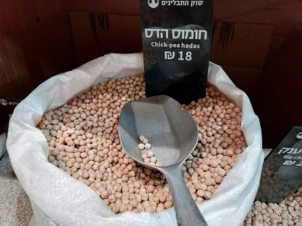 Representative photograph of chickpeas