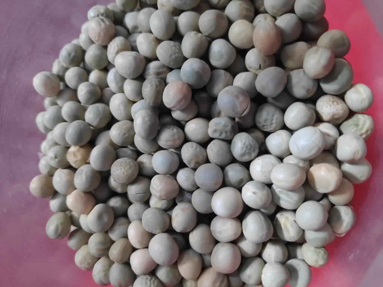 Representative photograph of green peas