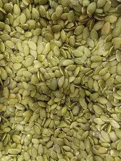 Representative photograph of pumpkin seeds