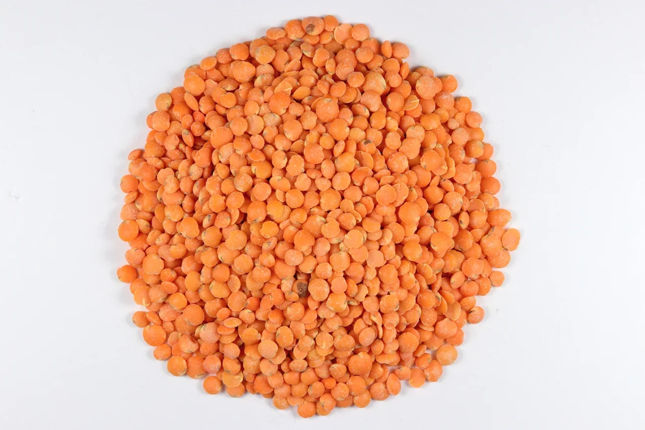 Representative photograph of split red lentils