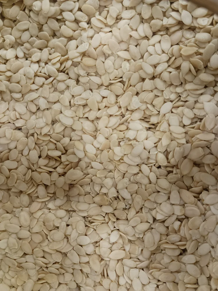 Representative photograph of watermelon seeds